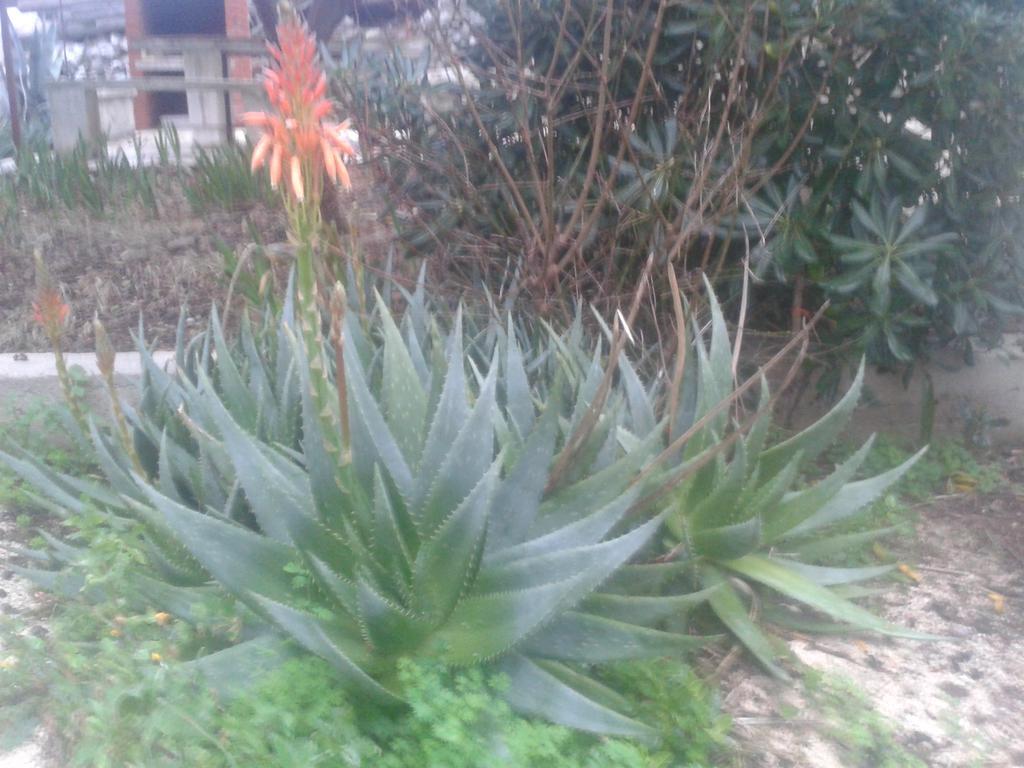 Apartament Anita 3 Mali Lošinj